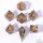 Sharp Edge Liquid Core RPG: Dice Set Oil Money (7)