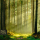 Black Forest (DE)