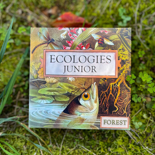 Ecologies: Junior Forest (EN)