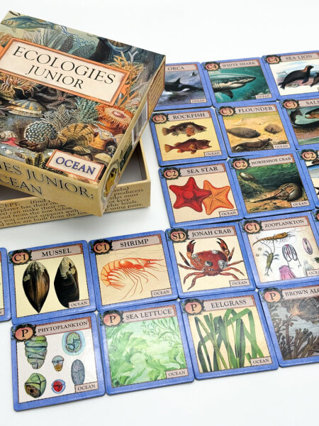 Ecologies: Junior Ocean (EN)
