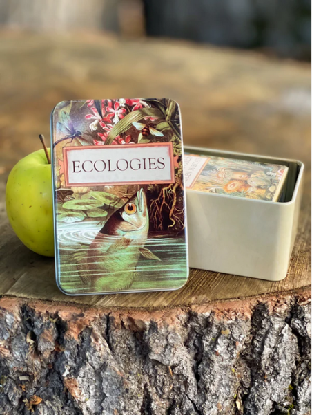 Ecologies: Tin Travel Box