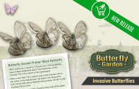 Butterfly Garden: Invasive Butterflies (EN)