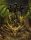 Dragon Thrones Core Set Slipcase 5E (EN)