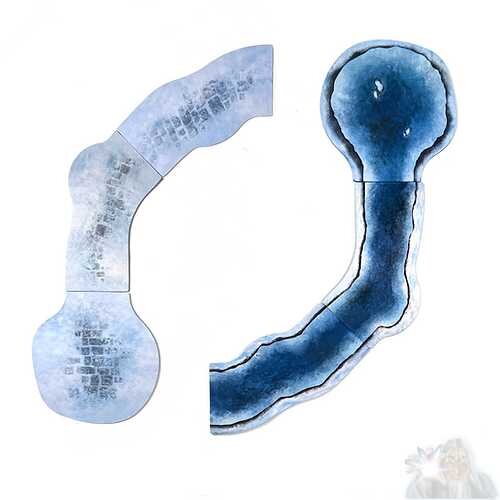 Monster Scenery: Snowy Roads & Rivers