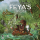 Feya`s Swamp (EN)