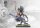 Conquest: Spires - Artisan Series Lineage Prideborne (EN)
