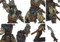Conquest: Wadrhun - Apex Queen (EN)