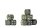 Conquest: Wadrhun - Logo on Green Marbled Dice with White Pips(24)