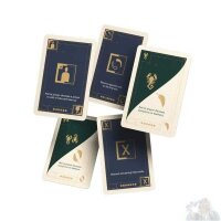 Veiled Fate: Micro-Expansion Bundle (EN)