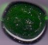 Chessex Crystal Dark Green Gaming Stones (40+ stones per...