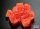 Chessex Lab Dice 7 Translucent Polyhedral Neon Orange/white 7-Die Set (with bonus die)