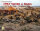 Panzer Grenadier: Modern 1967 Sword of Israel Boxless (EN)
