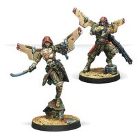 Infinity: Bashi Bazouks