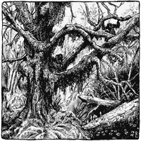 Harnmaster: Peran (EN)