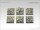 Bonefield Bases - 20x20mm (5)