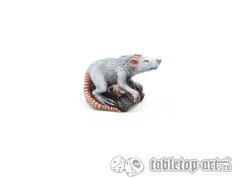 Giant Rats Mother Animal