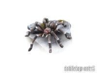 Giant Spider