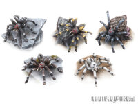 Giant Spiders Set (5)
