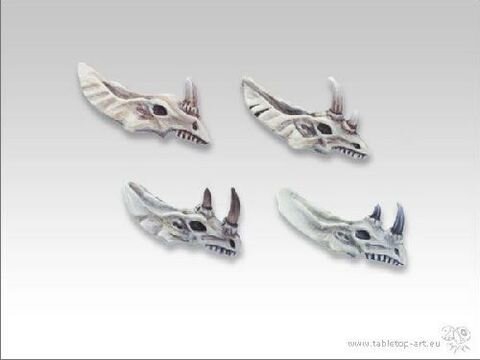 Lizard Skulls (4)