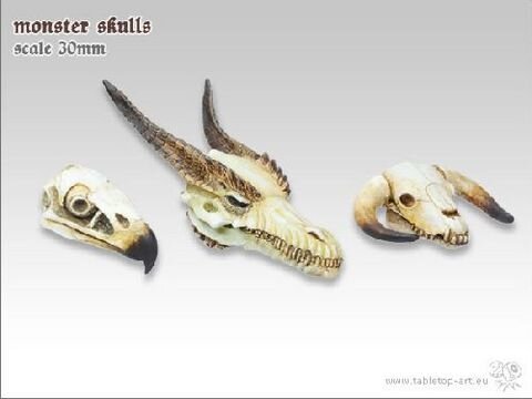 Monster Skull Set (3)