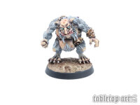 Percht Linemen 3 - Fantasy Football