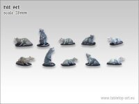 Rats - Set 1 (10)