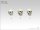 Skulls Set 54mm (12)