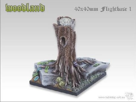 Woodland Bases - 40x40mm Flightbase 1