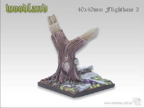 Woodland Bases - 40x40mm Flightbase 3