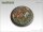Woodland Bases - 50mm Round Lip 1