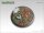 Woodland Bases - 50mm Round Lip 2