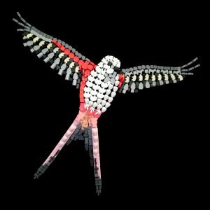 Wingspan Fan Art Pack (EN)