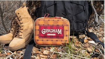 Gingham: Travel Case