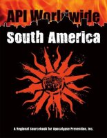 API Worldwide South America (EN)