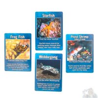 Undersea Explorers Coral Reef Adventures (EN)