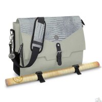 ENHANCE RPG Players Essentials DnD Bag: Dragon Silver