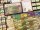 Viticulture: Bordeaux (EN)