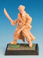 Freebooter`s Fate: Arrrchibald