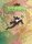 The Painted Wastelands RPG: The Quest Unpronounceable (OSE) (EN)